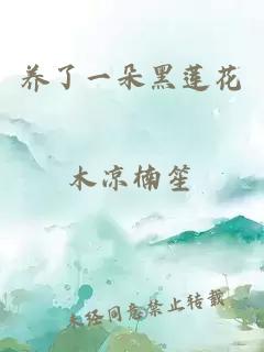 养了一朵黑莲花