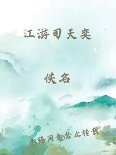 江游司天奕