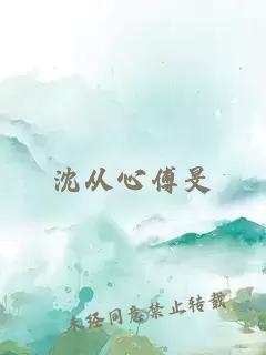 沈从心傅旻