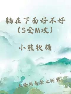 躺在下面好不好（S受M攻）