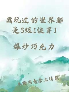 我玩过的世界都是S级[快穿]