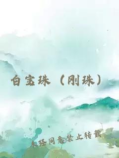 白宝珠（刚珠）