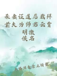 杀妻证道后我拜前夫为师君云霄明微