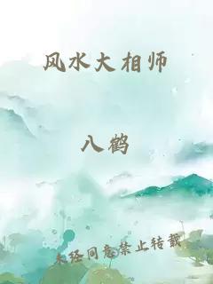 风水大相师