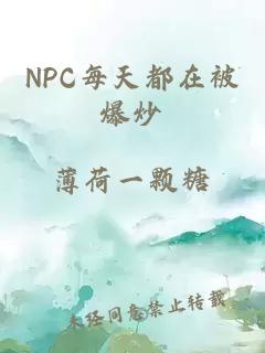 NPC每天都在被爆炒